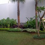 tukang taman serpong