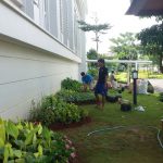 tukang taman gading serpong